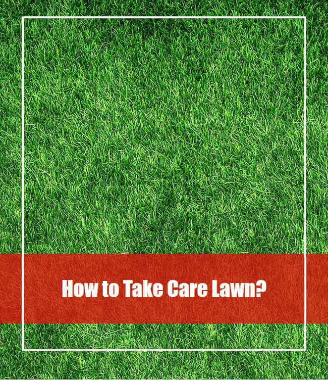 lawn care guide