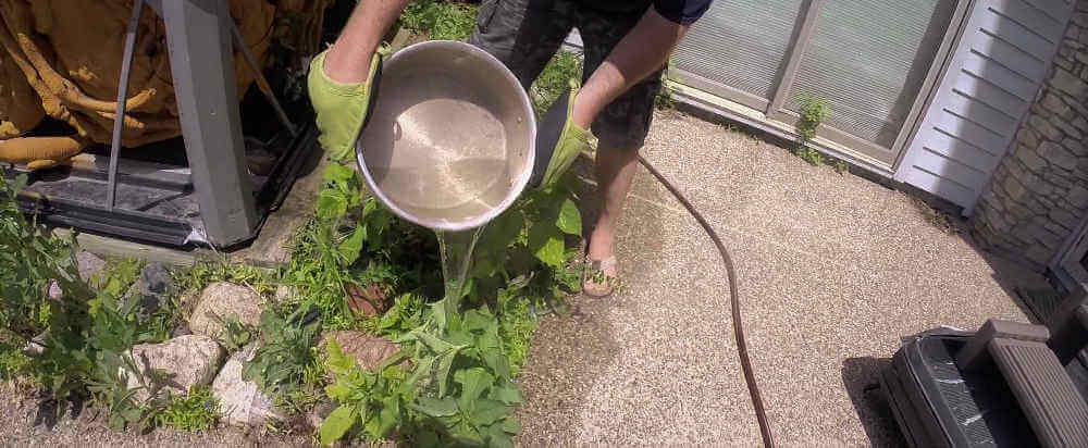 boiling water weed killer