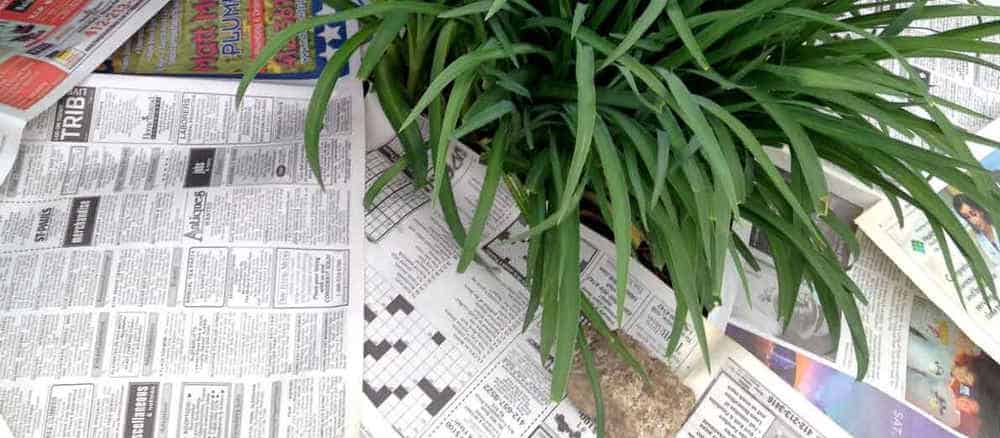 newspaper for weed control