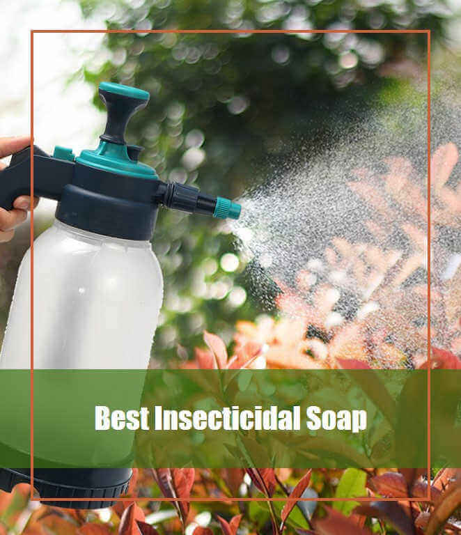 Best insecticidal soap